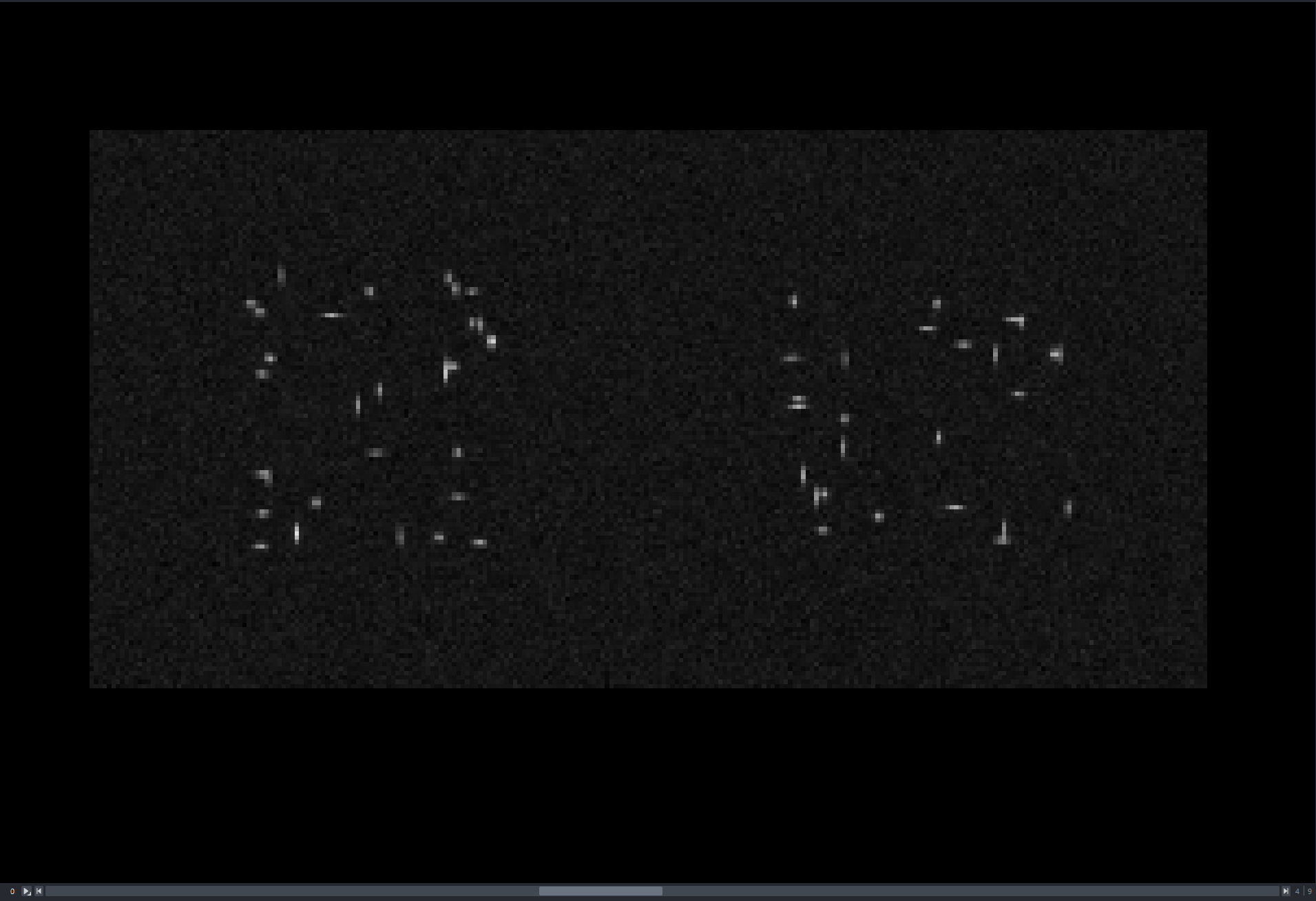 Napari visualization panel.